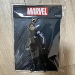 サンダーボルツ ウィンターソルジャー バッキー 缶バッジ アクリル