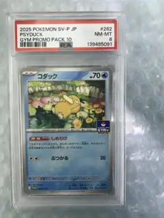 コダック　しめりけ　ジムプロモ　psa8 psa10 連番　2枚セット