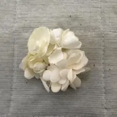 訳あり】芙蓉(フヨウ)の花殻 ドライフラワー No.188 - メルカリ