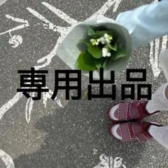 ましゅめろ様専用