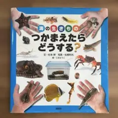 Item thumbnail for item 457151dc-50eb-4cea-aaac-b8a2c22e9fb8