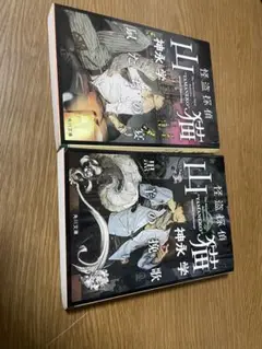 怪盗探偵山猫　2冊セット