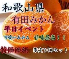 最終時期❤️限定一名様❤️味濃く甘〜いみかん❤️有田みかん❤️丹生系❤️5kg 3