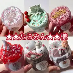 ★★たらみん★★様専用