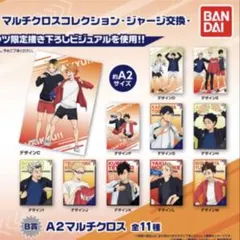 【孤爪研磨＆日向翔陽】　ジャージ交換　マルチクロス