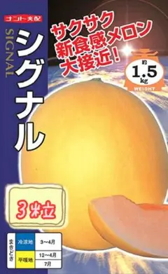 Sasaki様 リクエスト 2点 まとめ商品