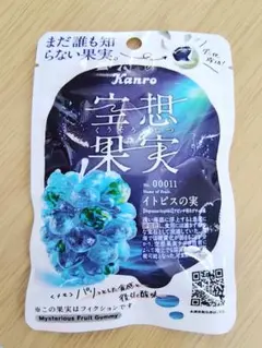 空想果実イトピスの実1袋のサムネイル