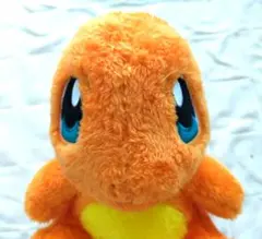 ポケモン ヒトカゲ ほっこりいやされ でっかいぬいぐるみ ポケットモンスター