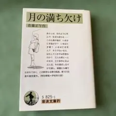 Item thumbnail for item 2f1a91c6-da43-4e38-aad7-3bc8174fcfd3