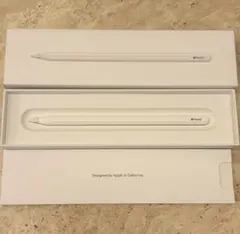 【純正品】Apple Pencil (第2世代)