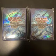 遊戯王 ワールドチャンピオンシップ wcs2023 青　2セット　未開封