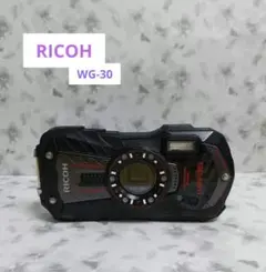 2025年最新】RICOH WG-30の人気アイテム - メルカリ