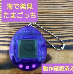【動作確認済み】海で発見たまごっち【スケルトンパープル】１９９７年発売
