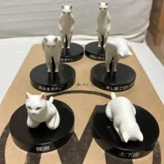 猫 黒