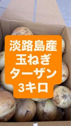 淡路島産 玉ねぎ ターザン　訳あり3キロのサムネイル