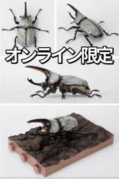 2026年最新】グラントシロカブト 標本の人気アイテム - メルカリ