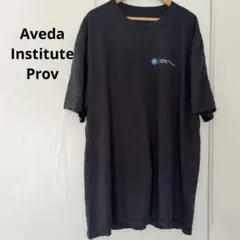 Aveda Institute Provo Tシャツ 黒