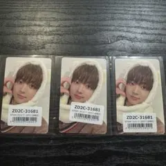 &TEAM 雪明かり EJ ウィジュ トレカ ふわふわアニマルトレカ