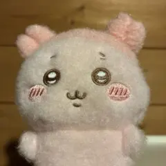 ちいかわ 古本屋 ぴたれすと