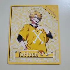 カラフルピーチ　たっつんさん　マグネット