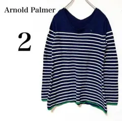 【アーノルドパーマー】ネイビーホワイト　ボーダー　Vネックニット　ポイント刺繍M