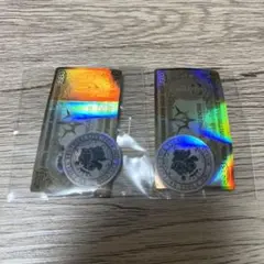 わんころ様 リクエスト 2点 まとめ商品