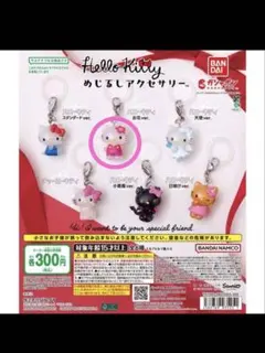 HELLO KITTY めじるしアクセサリー