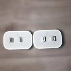 Apple純正 20W USB-C 電源アダプター　2個セット Apple