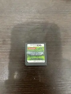 サバイバルキッズ Lost in Blue 2