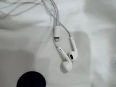 Item thumbnail for item 59dc1087-df89-43fd-ae48-716cf1c67af8