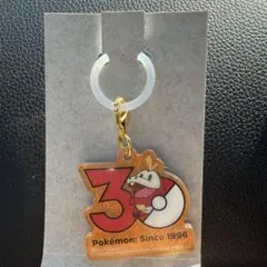 新品 ポケチャーム ポケモン30周年ロゴマスコット 2 ホゲータ