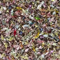 千羽鶴　ウエディングシャワー