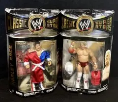 フィギュア スポーツ