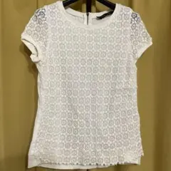 ZARAベーシック　ホワイト レース 半袖トップス