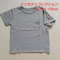 インセクトコレクション テントウムシ Tシャツ XL 140-150cm
