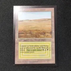 MTG Savanna デュアルランド - メルカリ