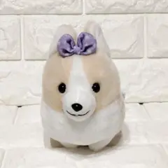 いち！にの！コーギー【新作】ただいま  STセット ≪2月の新商品≫いちにのコーギーただいま☆アミューズプライズ