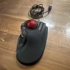 Item thumbnail for item ed0c2947-6e4e-4583-aede-9753a0a51ce9