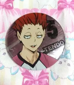 ハイキュー!!　烏野高校VS白鳥沢学園高校　キャラバッジコレクション 天童覚