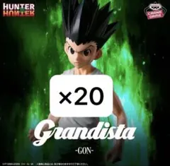 HUNTER×HUNTER ゴン フィギュア Grandista 20個