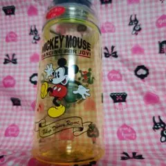 ディズニー　ドリンクボトル
