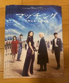 マッチング 映画チラシ フライヤー - メルカリ