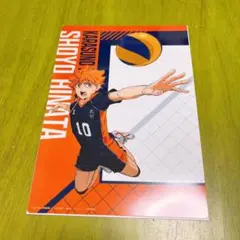 劇場版 ハイキュー!! ゴミ捨て場の決戦 クリアビジュアルポスター 日向翔陽