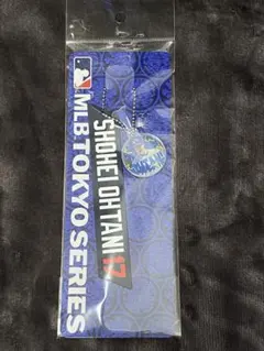 Item thumbnail for item 74636911-600a-4d93-b402-4e7fb33a55d3