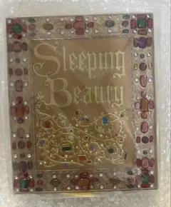 眠れる森の美女　ノートブック ノート 新品未開封 ディズニー