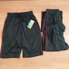 Item thumbnail for item a208b1a3-f878-4ff5-a9c7-637cc418e881