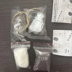 うちの子のけだまだま　シャム　はちわれ