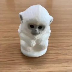 てのりフレンズ　キンシコウ・ベイビー