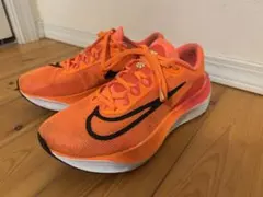 Item thumbnail for item d79ccb13-8bd5-447f-867a-ef4cb0eff102