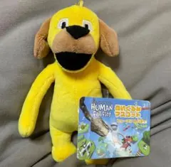 黄色い犬　ぬいぐるみ　ヒューマンホールフラット　3